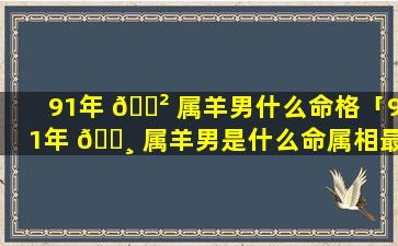 91年 🌲 属羊男什么命格「91年 🌸 属羊男是什么命属相最配对」